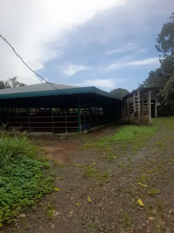 Finca en Venta en Upala | 7 Hectáreas con Infraestructura Ganadera en Upala, Alajuela — ₡ 120 000 000 - Foto 3 de 13