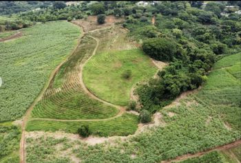 Farm in Tacares de Grecia: An Opportunity to Develop en Mercedes, Atenas, Alajuela — 600 000 000 ₡ - Foto 4 de 15