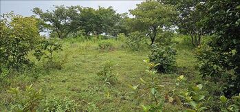 Venta terreno Pinilla Tamarindo  en Tamarindo, Santa Cruz, Guanacaste — $1,150,000 - Foto 5 de 8