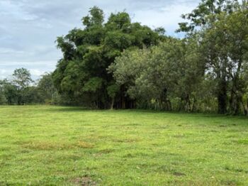 Finca San Jorge La Fortuna en La Fortuna, San Carlos, Alajuela — 35 000 000 ₡ - Foto 4 de 6