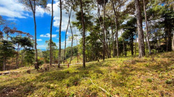 SE VENDE LOTE EN EXCLUSIVO PROYECTO CON HERMOSAS VISTAS A LA MONTAÑA in San Isidro De El General, Pérez Zeledón, San José — $44,000