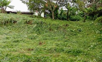 Lotes en Santo Domingo de Heredia  en Pará, Santo Domingo, Heredia — $140,000 - Foto 4 de 4