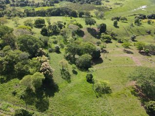 Venta de Finca en La Trinidad. La Ceiba. Orotina de Alajuela en La Ceiba, Orotina, Alajuela — 70 000 000 ₡ - Foto 3 de 35