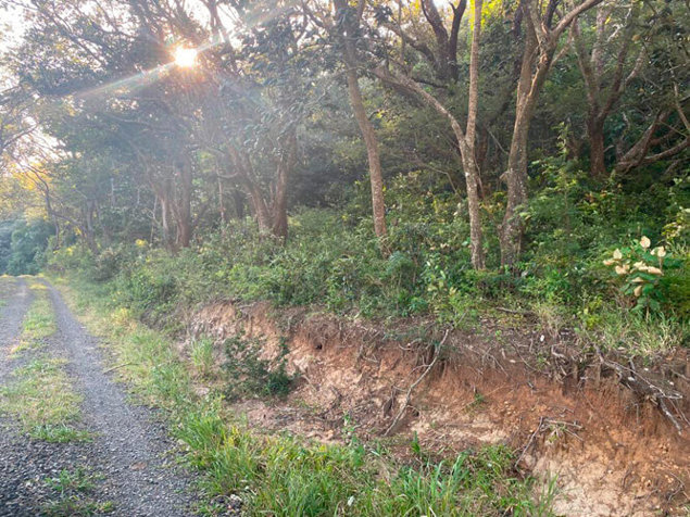 Finca, San Jorge, Bagaces Guanacaste en Mogote, Bagaces, Guanacaste — $1,500,000 - Foto 2 de 3