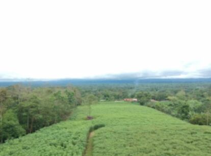  ¡OPORTUNIDAD ÚNICA EN CHACHAGUA A UN PRECIO INMEJORABLE!🏞️ en Peñas Blancas, San Ramón, Alajuela — ₡ 166 122 000