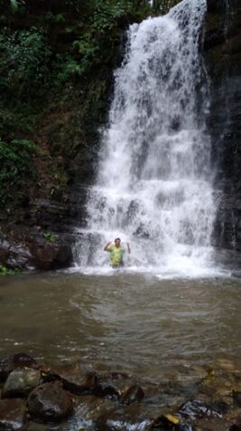 FINCA DE CAFÉ DE 4 HA en Santa María, Dota, San José — ₡ 110 000 000