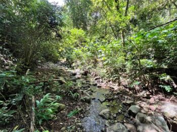 Finca de montaña con quebrada natural y alto potencial en El Guarco Cartago #26-1829 GS en San Isidro, El Guarco, Cartago — $222,222 - Foto 5 de 13
