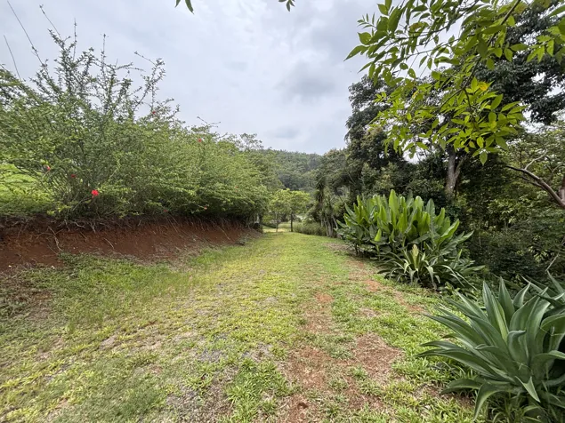 Propiedad para desarrollo | Santiago de San Ramón en Santiago, San Ramón, Alajuela — ₡ 280 000 000 - Foto 2 de 18