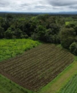 Se Venden Lotes con Vista al Volcan Arenal en La Fortuna in La Fortuna, San Carlos, Alajuela — ₡ 35 000 000