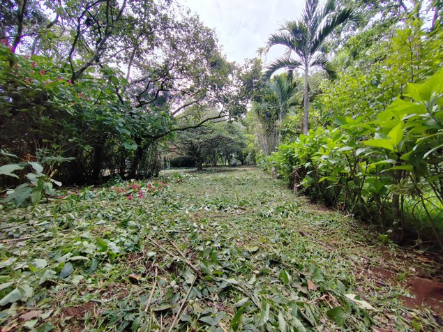 Lote en venta en Rosario de Naranjo in El Rosario, Naranjo, Alajuela — $80,000 - Photo 2 of 12