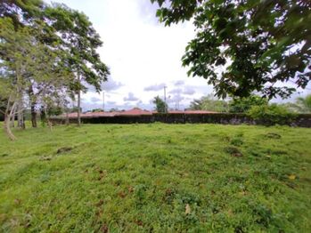 Venta de Lote en Pococí-Guápiles, Limón.  en Guápiles, Pococí, Limón — $1,250,000 - Foto 4 de 19