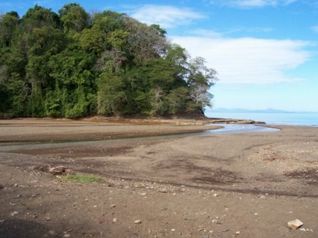 DEVELOPERS DREAM BEACHFRONT PARCEL IN PLAYA AGUJA en Jacó, Garabito, Puntarenas — $80,000,000 - Foto 5 de 7