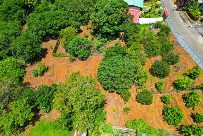 Strategic Commercial Land for Sale – Puente De Piedra, Grecia in Grecia, Alajuela — ₡ 120 000 000 - Photo 3 of 12