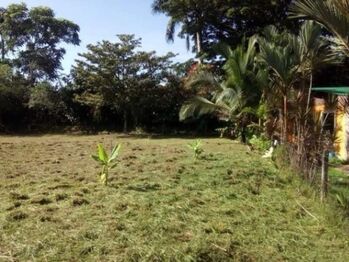 Venta de Lote en Horquetas de Sarapiquí / Mls. 26-885 OFC JB in Las Horquetas, Sarapiquí, Heredia — $50,000 - Photo 5 of 8