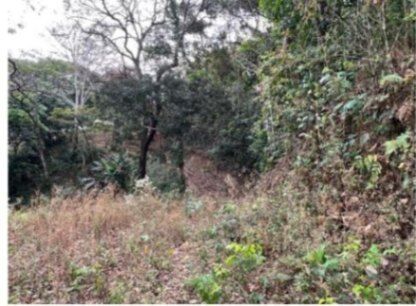 Amplio terreno con servicios y gran potencial para desarrollo ecoturístico #25-1246 GS in Piedades, Santa Ana, San José — $370,000