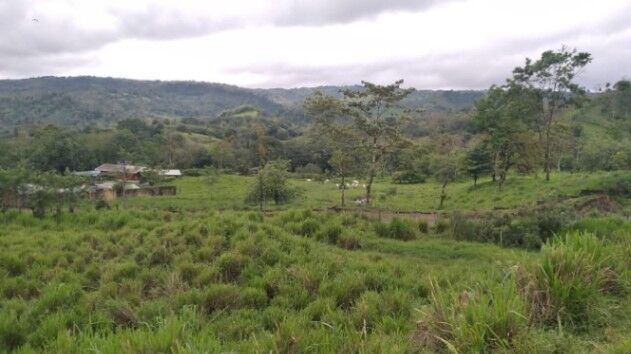 SE VENDE BELLA FINCA GANADERA CON PROYECTO TURÍSTICO.  en Venado, San Carlos, Alajuela — ₡ 750 000 000