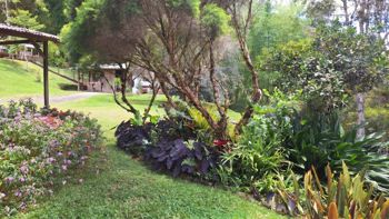 SE VENDE FINCA SOSTENIBLE CON ACCESO A RIO Y VISTAS A CHIRRIPO en Rivas, Pérez Zeledón, San José — $675,000 - Foto 4 de 35