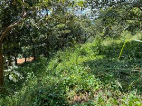  Lote con mucho potencial, uso de suelo Residencial y agricola EN VENTA RAH/OFI  in Atenas, Alajuela — $68,000