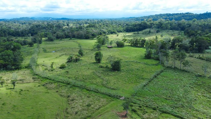 Venta De Finca 375.7 Hectáreas Sarapiquí Heredia in La Virgen, Sarapiquí, Heredia — $3,000,000