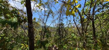 Venta de Lote en Parrita-Puntarenas. RAH 26-1767