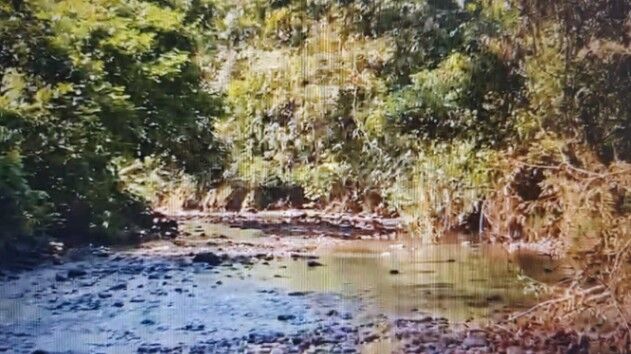 Venta | Finca con río, catarata y enorme potencial turístico en San Carlos #26-2253 GS en Florencia, San Carlos, Alajuela — $3,500,000