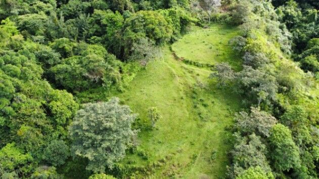 3+ hectares con vista, San Blas, General Viejo, Perez Zeledon en El General, Pérez Zeledón, San José — $129,999