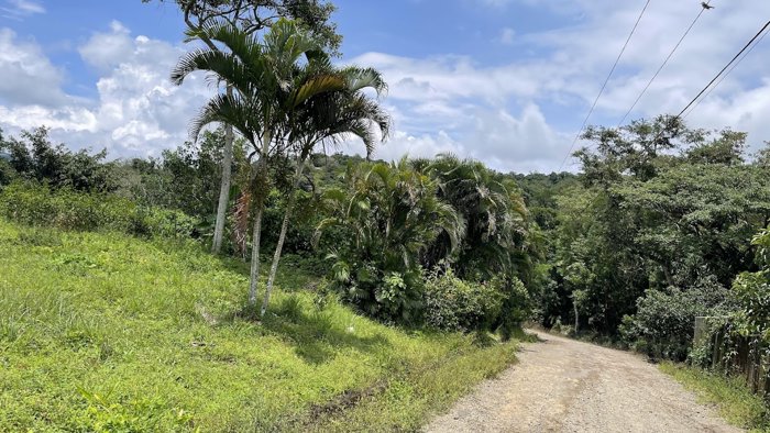 SE VENDE LOTE EN SAN PEDRO, SAN RAMON in San Ramón, Alajuela — $65,000