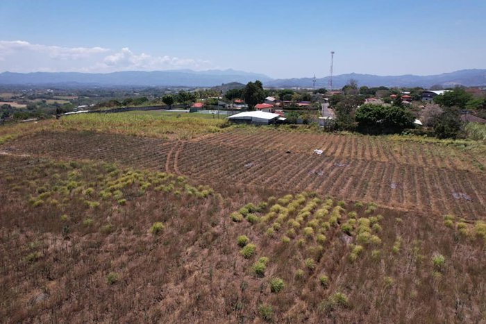 Large Flat Property in Tacares - Perfect for Development en Grecia, Alajuela — ₡ 495 000 000 - Foto 3 de 8