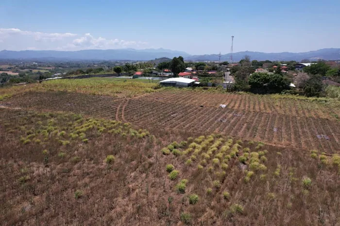 Large Flat Property in Tacares - Perfect for Development in Grecia, Alajuela — ₡ 495 000 000 - Photo 3 of 8