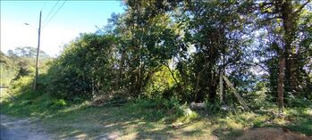 1 Hectarea de bosque en San Isidro, El Guarco, Cartago — 23 000 000 ₡ - Foto 4 de 4