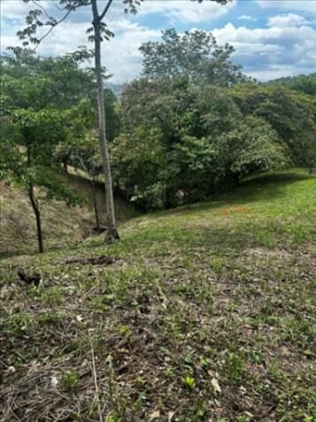SE VENDE BELLÍSIMA PROPIEDAD EN PIEDRAS NEGRAS, MORA, SAN JOSÉ.  en Piedras Negras, Mora, San José — ₡ 80 000 000