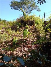 Land For Sale San Isidro, El Guarco, Cartago