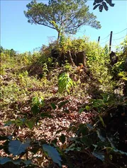 BELLÍSIMA PROPIEDAD EN EL GUARCO DE CARTAGO.