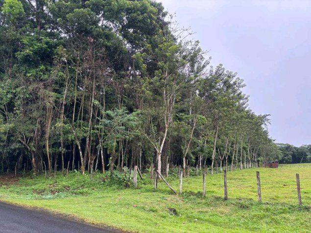 Terreno en Venta en La Virgen Sarapiquí en La Virgen, Sarapiquí, Heredia — ₡ 17 000 000 - Foto 2 de 3