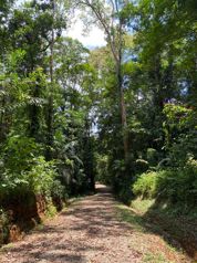 VENTA DE FINCA CON CASA, HEREDIA, SARAPIQUÍ, LA VIRGEN en La Virgen, Sarapiquí, Heredia — $420,000 - Foto 2 de 13
