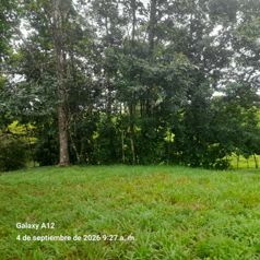 Finca para ganadería y agricultura. en Bijagua, Upala, Alajuela — 130 000 000 ₡ - Foto 2 de 13
