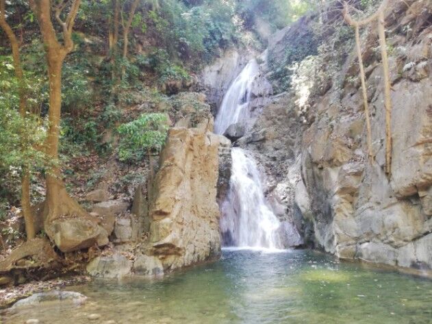 Vendo finca de montaña en Río Grande de Paquera. en Paquera, Puntarenas — $460,000