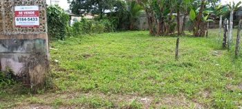 Venta de terreno en el Centro de Pital a un costado de la Iglesia en Aguas Zarcas, San Carlos, Alajuela — 50 000 000 ₡ - Foto 4 de 9