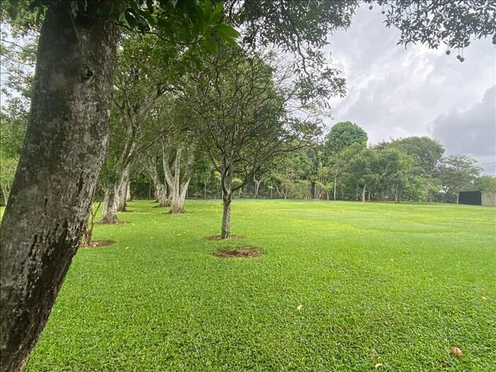 VENTA DE LOTE ALAJUELA, TAMBOR, EL CACAO en Alajuela — $975,000
