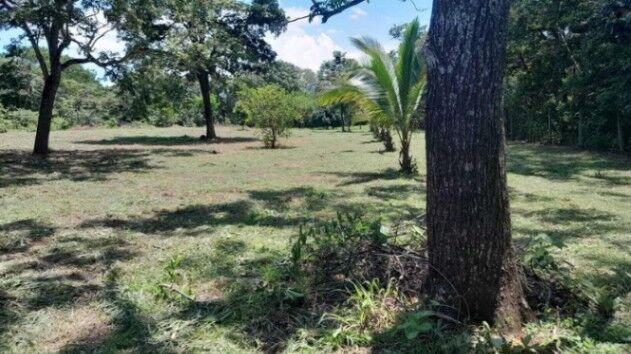 MLS-26-1028 VENTA LOTE OROTINA ALAJUELA in Orotina, Alajuela — ₡ 80 000 000