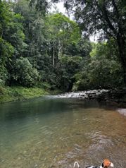 Farm with Beautiful River in Pocora, Guácimo, Limón — ₡ 140 000 000 - Photo 3 of 10