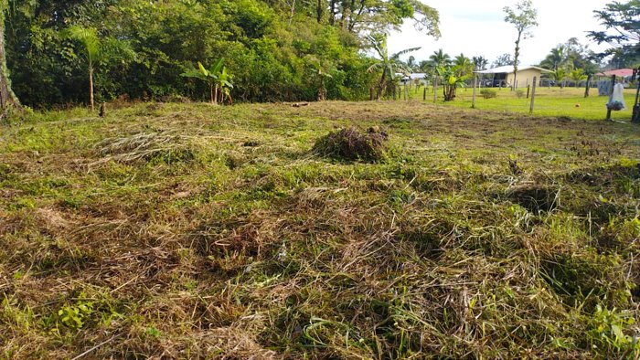 Se vende, Lote, Guapiles, Suerre in Guápiles, Pococí, Limón — ₡ 20 000 000