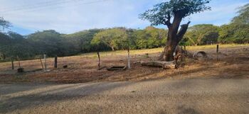 Venta de Lote en Carrillo de Guanacaste. RAH 26-1179 in Sardinal, Carrillo, Guanacaste — $686,375 - Photo 5 of 15