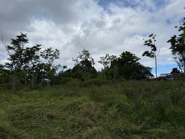 Lote San Ramón de Tres Ríos [Uso de suelo mixto] in Tres Ríos, La Unión, Cartago — $290,000 - Photo 3 of 5