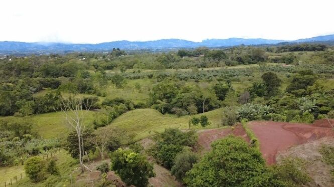 CONSTRUYA SU HOGAR IDEAL EN LA LINDA DE GENERAL VIEJO - LOTE DE 2,744 M² EN VENTA in San Isidro De El General, Pérez Zeledón, San José — $36,000