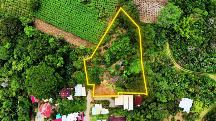 SE VENDE TERRENO LISTO PARA CONSTRUIR CON AGUA PROPIA Y EXCELENTE UBICACION in Daniel Flores, Pérez Zeledón, San José — $82,000