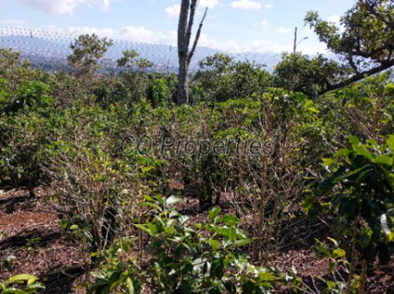 Terreno con hermosas vistas, San Rafael de Heredia, 2,000 mtrs2 in Concepción, San Rafael, Heredia — ₡ 78 000 000