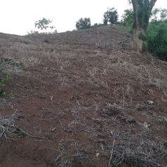 PRECIOSO LOTE EN BIJAGUAL DE TURRUBARES en Jacó, Garabito, Puntarenas — $50,000 - Foto 5 de 9