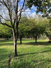 TERRENO PARA CONSTRUCCION en Macacona, Esparza, Puntarenas — $290,000 - Foto 4 de 8