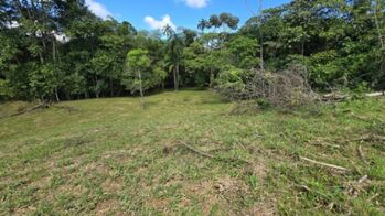 PRIME 1-HECTARE LOT FOR SALE WITH CREEK IN PUEBLO NUEVO DE CAJÓN in Cajón, Pérez Zeledón, San José — $90,000 - Photo 5 of 25